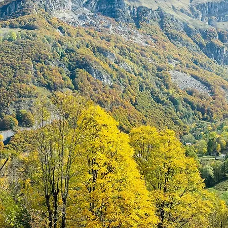 Piccola Renna Apartmán *