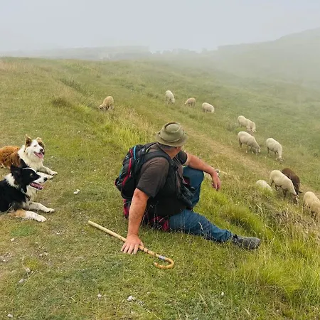 Piccola Renna Appartamento *