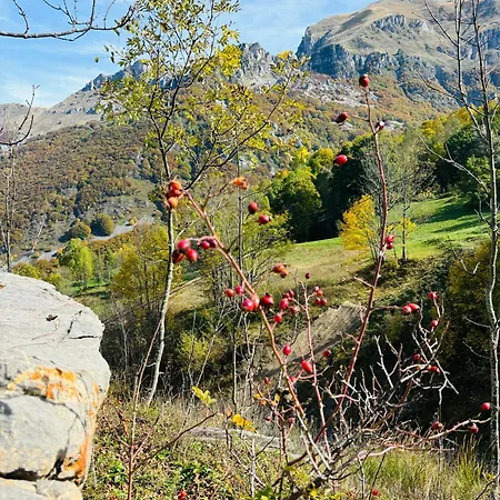 Appartamento Piccola Renna