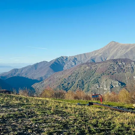 Daire Piccola Renna Limone Piemonte