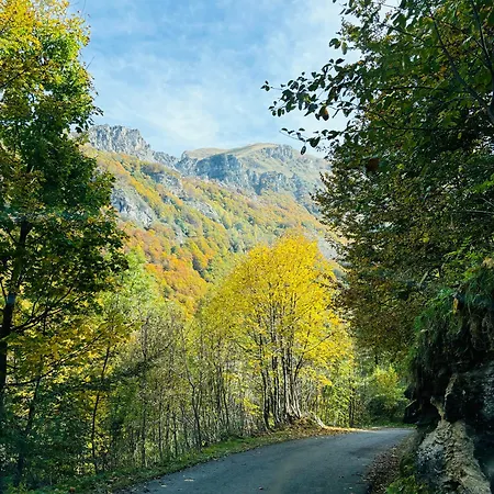 Piccola Renna Lägenhet Limone Piemonte