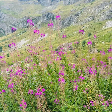 Piccola Renna Apartment *