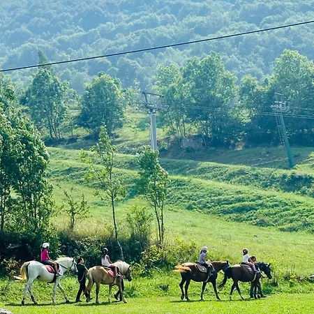 Piccola Renna Apartment