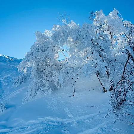 Piccola Renna Appartement