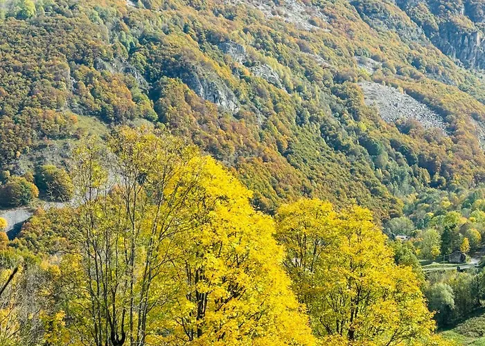 Piccola Renna 아파트 *