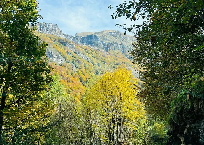 Piccola Renna 아파트 리모네피에몬테