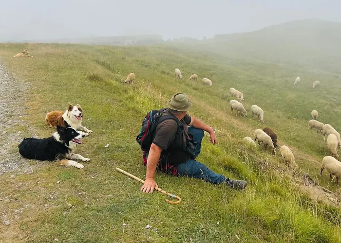 Piccola Renna 아파트 *