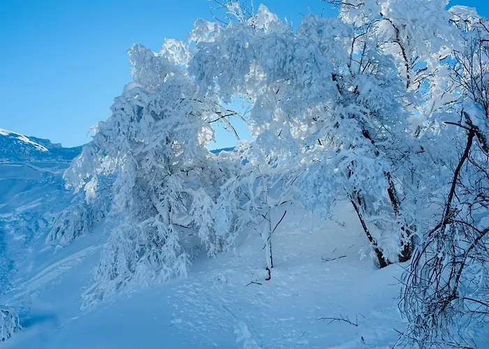 Piccola Renna 아파트